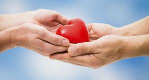 Dono Day, un giro d'Italia da 50mila presenze